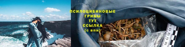 ГАЛЛЮЦИНОГЕННЫЕ ГРИБЫ Богданович