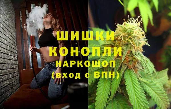 СК Белокуриха