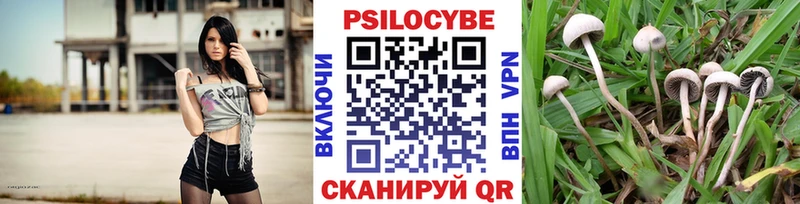 Галлюциногенные грибы ЛСД гидра ССЫЛКА Называевск